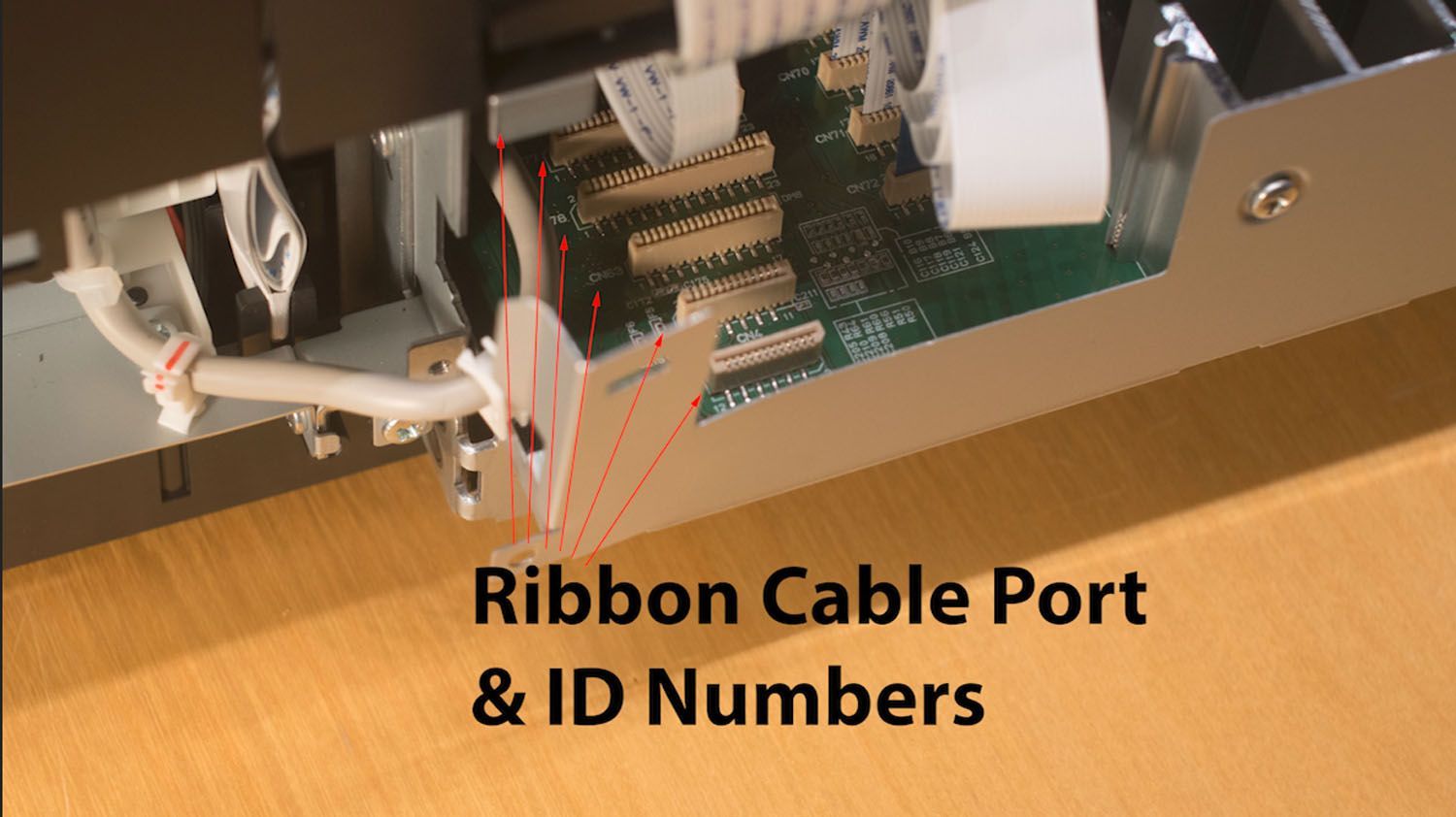 Arrows showing where to plug ribbon cables into P800 printer