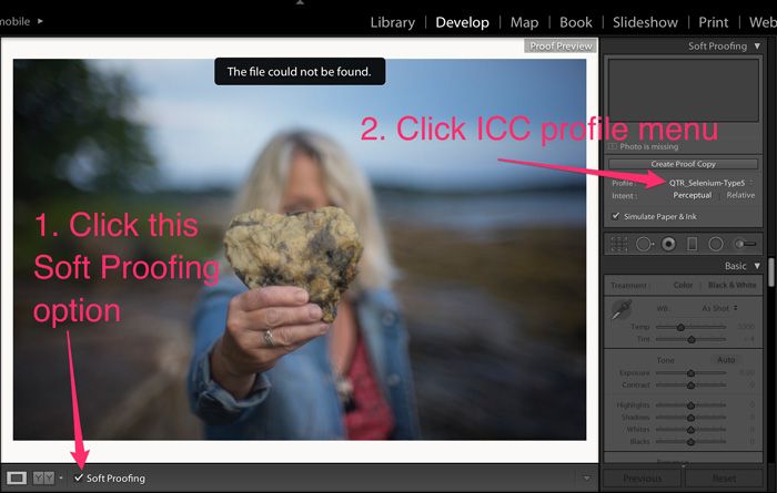 Lightroom Soft Proof 