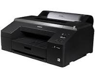 Shop By Printer / Epson Printer Products / SureColor P5000